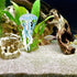 Zerodeko Plastic Jellyfish Toys, Realistic Sea Life Animals Figurines for Ocean Collection