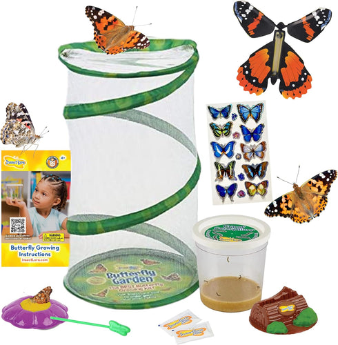 Insect Lore Butterfly Garden Gift Set, 8" Habitat with Live Cup of Caterpillars, Life Science & STEM Education Kit