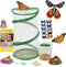 Insect Lore Butterfly Garden Gift Set, 8" Habitat with Live Cup of Caterpillars, Life Science & STEM Education Kit