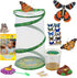 Insect Lore Butterfly Garden Gift Set, 8" Habitat with Live Cup of Caterpillars, Life Science & STEM Education Kit