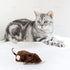 AUEAR 4 Pack Wind Up Mouse Racing Mini Plush Mice, Realistic Looking Pet with Twirling Tail