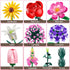 Set, 699 Flowers Bouquet Building Flower Botanical Collection Building Toys, Home & Office Creative Decoration