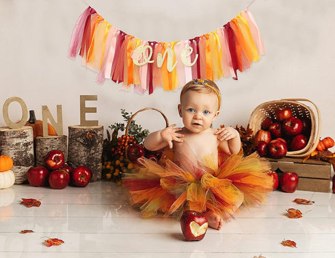 1st Little Pumpkin Birthday High Chair Banner - Ballet, Halloween, Party Decorations