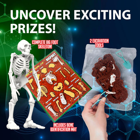 6 Dissect-It Discover-It Bigfoot Dig Kids Science Kit, Gel Dissection Kit for Kids to Learn Anatomy, STEM Toys for Ages