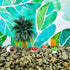 100 Pieces Mini Resin Animals, Miniature Panda and Duck Figurines for DIY Plant Bonsai Accessories