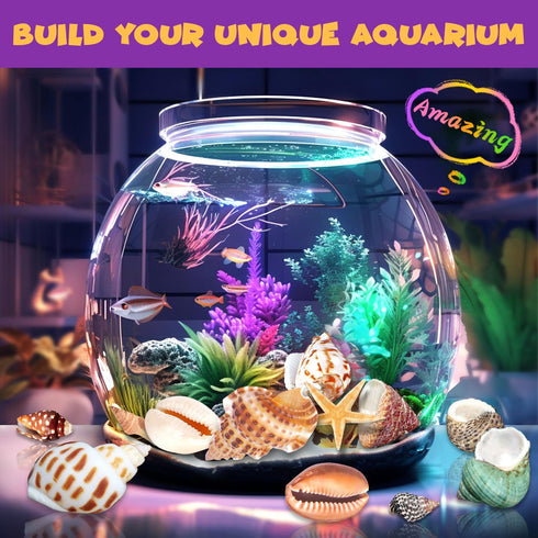 20+ Set 6+ PIBEX Ocean Fossil Dig Kit, Dig up Real Shells & Seasnails, STEM Educational Activity Sea Creatures