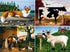 Buffalo Games Charles Wysocki Animal Collage: 1000 Piece Jigsaw Puzzle for Adults, Finished Size 26.75 x 19.75