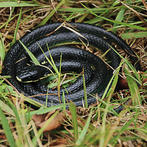 Realistic Fake Rubber Snake Toys, Black Cobra, 49 Inch Long Prank Stuff