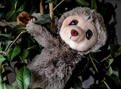 Recordable Stuffed Animals with 20 sec Heart Voice Recorder for Ultrasounds, Sloth - Perfect Gender Reveal