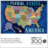 Buffalo Games - Zirkus Design LLC - The Floral States of America - 300 Piece Jigsaw Puzzle for Families Challenging Puzzle Perfect for Game Nights