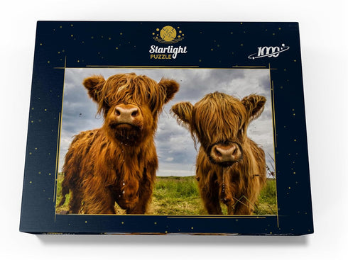 MyPuzzle Two Highland Cows - Premium 1000 Piece Jigsaw Puzzle for Adults