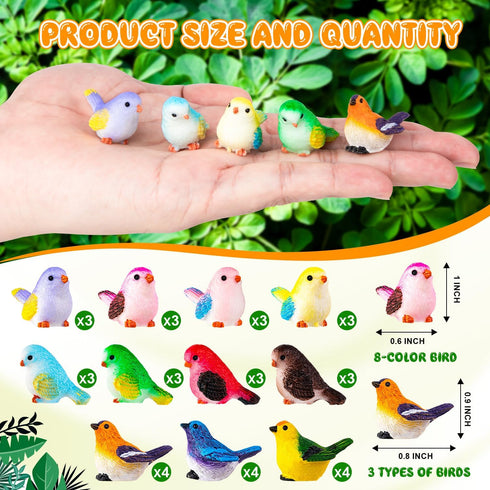 SYWHXY 72PCS (11 Miniature Cute Bird Decorative Figurines - Dollhouse Accessories, Mini Resin Birds Toy for Garden