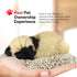 Minis Pug, Realistic Lifelike Stuffed Interactive Plush Toy, Electronic Companion Pet Puppy