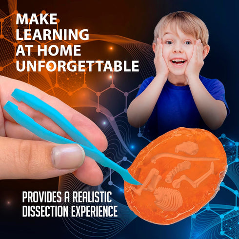 5 Discover-It Dissection Kit for Kids, Owl Pellet Science Lab Kit to Learn About Animals, Science Toys for Kids Ages