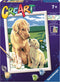 Ravensburger Paint by Numbers Kit for Kids - Motherly Love 20048 - Arts and Crafts for Ages 7 and Up