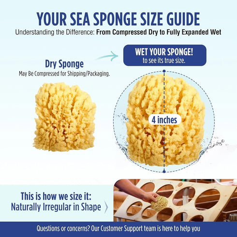 2pk, 4in Baby Buddy Absorbent Natural Bath Sponge, Ultra Soft Premium Sea Wool Sponge, Soft on Baby's Tender Skin, Bath