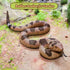 LRCXL Realistic Fake Snakes Toy Soft Rubber Snakes to Keep Birds Away - Rattlesnake Toys for Garden Props to Keep Birds
