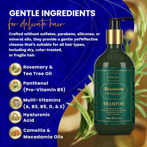 16.9 oz. BABY HAIR - Rosemary Shampoo, Sulfate-Free Rosemary Shampoo for Women and Men, Rosemary and Tea Tree Shampoo