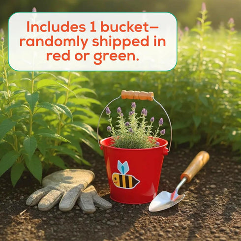 5 1 Count Toysmith Kids Gardening & Beach Bucket Metal Pail with Grippable Handle | Assorted Bee & Beetle Colors |
