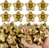 SHQDD 100PCS Stress Balls, Star Stress Balls for Adults & Kids, Mini
