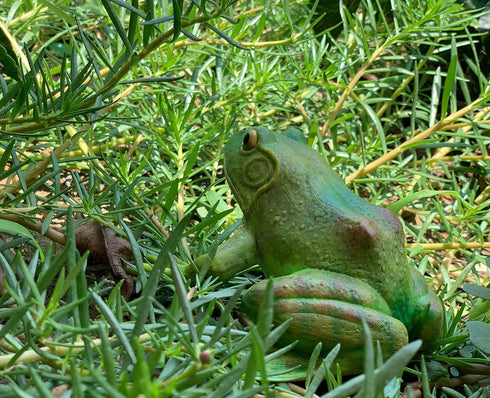 Gemini&Genius Tree Frog Toy Figure for Kids, Realistic Hand Painted Bullfrog Action Figure