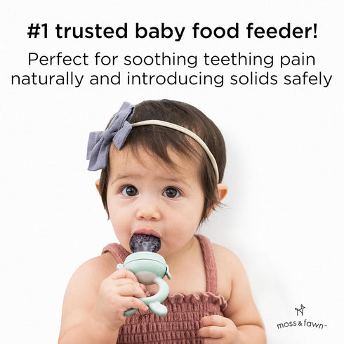 Forage Feeder, Soothing Silicone Frozen Baby Food Teething Toy, Pacifier Fruit Feeder and Teether, BPA, PVC and Phthalate Free - Fern
