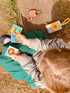 Tender Leaf Toys Safari Adventure Playset, 10 Pcs Outdoor Educational Kit for Kids, Age 3+, Gift Set