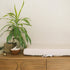 Organic Cotton Muslin Changing Pad Cover in White
