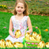 12 6 Inch PCS Jumbo Gold Easter Eggs Giant Metallic Golden Easter Eggs Fillable Large Suprise Egg for Easter Themed
