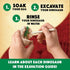 Excavate Your Own Dinosaur Eggs Kit - Educational Digging Adventure