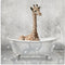 Stupell Industries 'Baby Giraffe Bath Time', Canvas Art, 24 x 24 Inches,