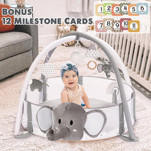 5-in-1 Mallify XL Large Baby Gym & Ball Pit, Play Mat & Play Gym, Combination Baby Activity Gym with Milestone Cards