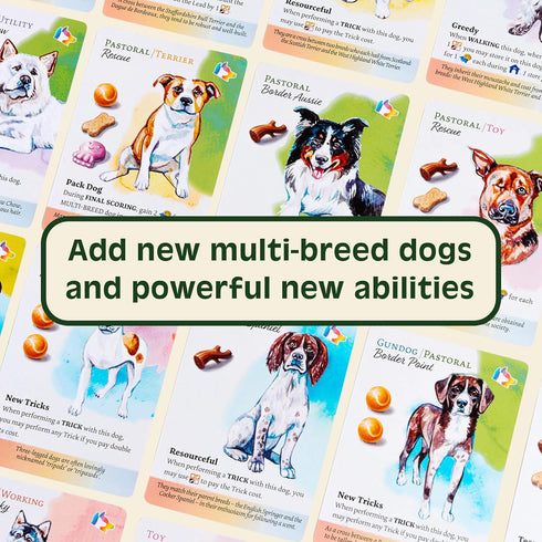 Dog Park: New Tricks by Birdwood Games Ltd - Family Game Expansion for 1 to 4 Players