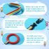 Berlune 36 Pack Toddlers Walking Ropes, Colorful Line and Safety Loops for Preschool, Detachable Transition Rope