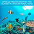 24 Pieces Sea Animals Toys Set - Ocean Sea Animals Figures, Plastic Sea Creatures Bath Educational Toys