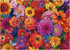 Flower Plant Puzzles for Adults 1000 Pieces, Colorful Sunflower Floral Jigsaw Puzzles, Nature Pretty The Lotus Flower Peony Rose Beautiful Spring Puzzle