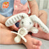 100% 3 RaZbaby Penguin RaZbuddy w/RaZberry Teething Relief Pacifier Soothes Sore Gums w/Nature-Inspired Texture