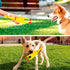 POPLAY 3 PCS Squeaky Rubber Chickens, Prank Novelty Toys for Dogs
