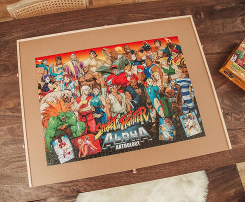 Toynk Street Fighter Collage 1000-Piece Jigsaw Puzzle for Adults - Educational Developmental Toys & Games