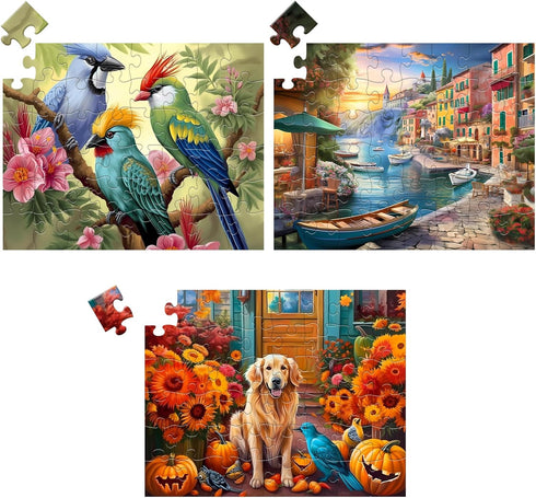 3 Pack 48 Piece Jigsaw Puzzle for Seniors, Large Piece Puzzles for Dementia and Alzheimer's Activities