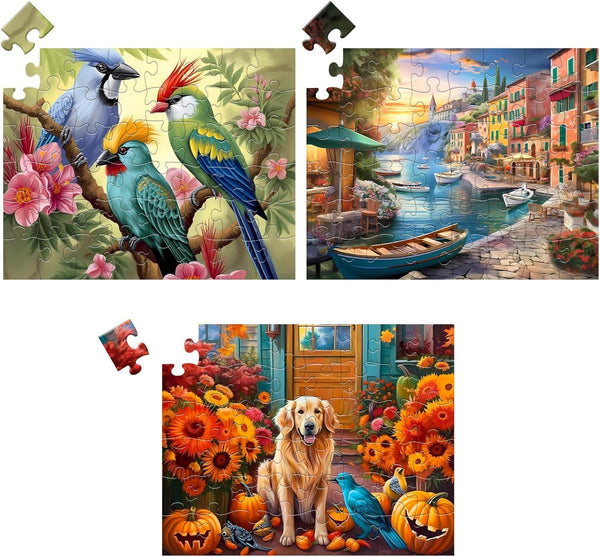 3 Pack 48 Piece Jigsaw Puzzle for Seniors, Large Piece Puzzles for Dementia and Alzheimer's Activities