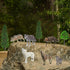 Sratte 26 Pcs Woodland Wolf Figurines Kit - Model Trees with Wolf Figurine for Diorama Project and Cake Toppers