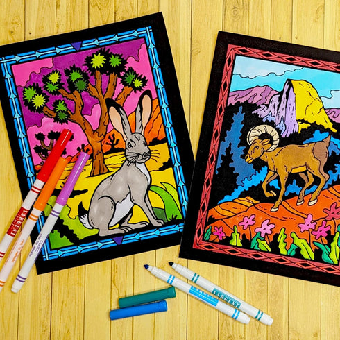 Pack 18 Super of Fuzzy Velvet Coloring Posters (National Parks Edition) - Great for Family Time, Arts & Crafts, Travel