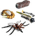 Gemini & Genius Life Cycle of Mosquito and Dragonfly Figurines, Insect Growth Diary Action Figures, Learning Gifts