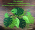 Tropical Leaf Banner, Hawaii Luau Party Leaves Garland, Summer Beach Theme Wedding Birthday Party Decor (2)