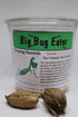 TruBlu Supply Two Extra Large Live Chinese Ootheca Praying Mantis Egg Cases + Praying