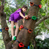 18 Ninja Tree Climbing Holds and 6 Sturdy Ratchet Straps for Kids, Large Climbing Rocks for Outdoor Training
