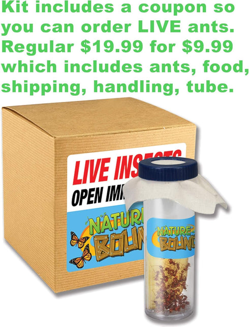 Nature Bound Toys Ant Treehouse Habitat Kit with Sand, Connector Tube, Feeding Stick & Insect Instructions