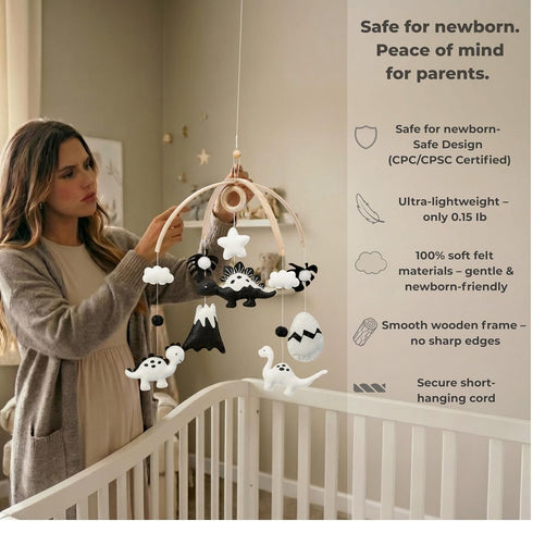Dinosaur Crib Mobile High-Contrast Black & White Nursery Decor for Newborn Baby Room, Handmade for Boy & Girl, Natural