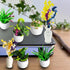 Cayway Dollhouse Plant Miniature 20 PCS Mini Miniature Potted Plants Model Artificial Flowerpot Fake Succulent Doll House for Dollhouse Garden Decorations by Cayway
